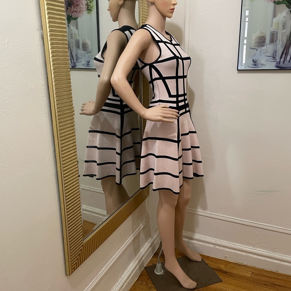 Torn by Ronny Kobo Black and Cream Mini Dress - Picture 7 of 12